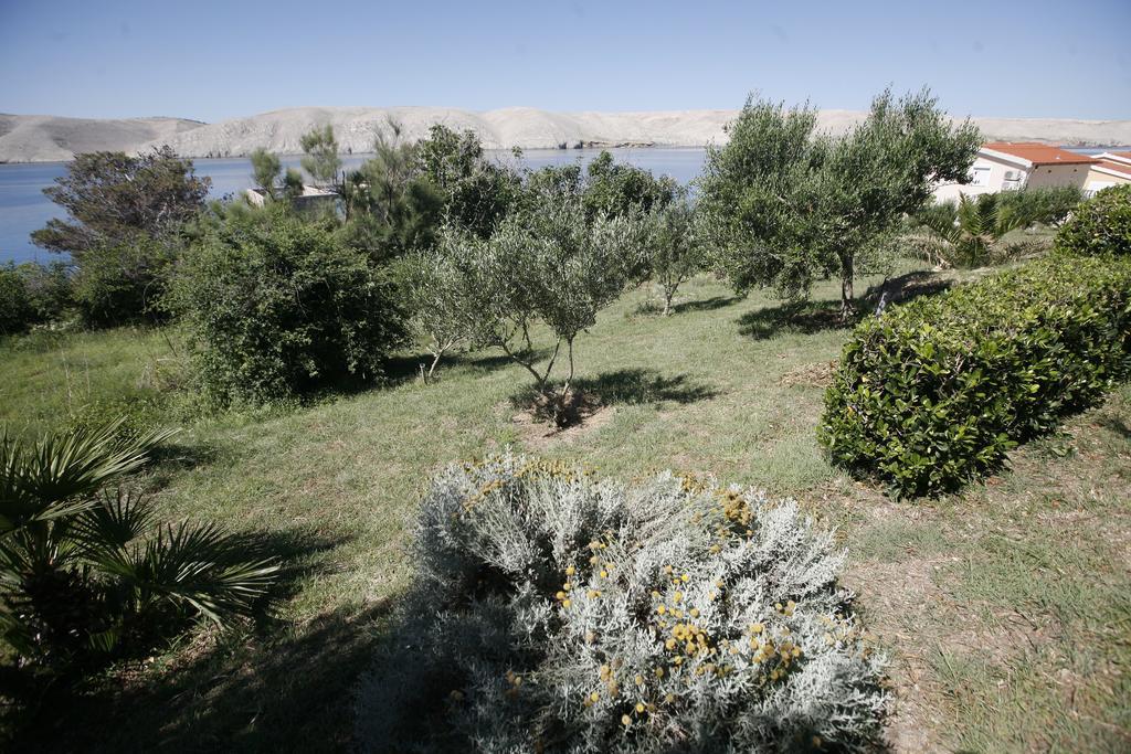 Apartments Roza Miskovici Екстер'єр фото